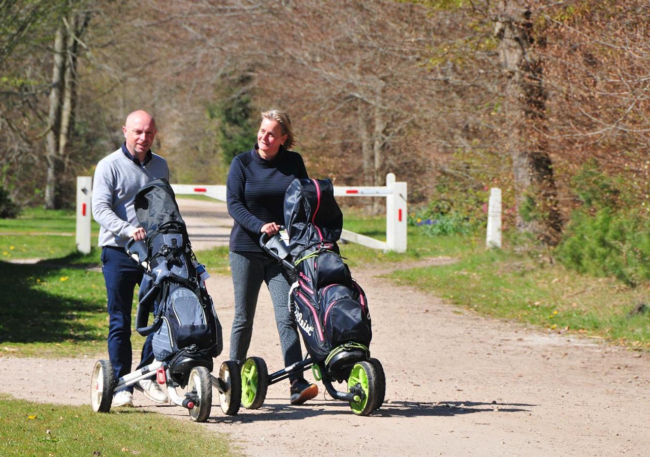 Erf Hesse - Holiday Home Ommen Eksteriør billede